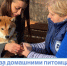 Уход за домашними питомцами весной: советы от госветклиники - Управление ветеринарии