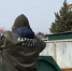 Севастопольцы помогли семье, пострадавшей во время атаки ВСУ></div>
	<div class= - Вести.Севастополь