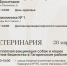 Бесплатные мероприятия в Севастополе на этих выходных - SevKor.Ru