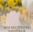 Бесплатные мероприятия в Севастополе на этих выходных - SevKor.Ru
