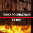 Внимание, пожароопасный период! - Департамент труда и соцзащиты населения