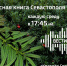 Радиопрограмма «Красная среда». Часть вторая. Новый этап жизни видов, попавших в Красную книгу></div>
	<div class= - Вести.Севастополь