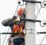 В Севастополе заменят 28 опор ЛЭП></div>
	<div class= - Вести.Севастополь
