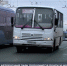 Севастопольский автобусный парк в 2026 году пополнится почти 30 новыми единицами - Телеканал НТС