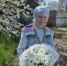 1 - Балаклавский муниципальный округ