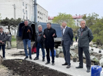 На улице Молодых строителей высадили порядка 100 саженцев деревьев и кустарников