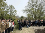 На улице Молодых строителей высадили порядка 100 саженцев деревьев и кустарников