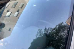 Наношу это на уплотнители - и авто не скрипит на кочках: не раздражающий хруст, а тишина премиум-класса - мягче, чем на новой машине