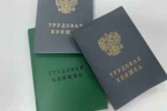 Дешевый или дорогой: Роскачество проверило наполнители для кошачьих туалетов